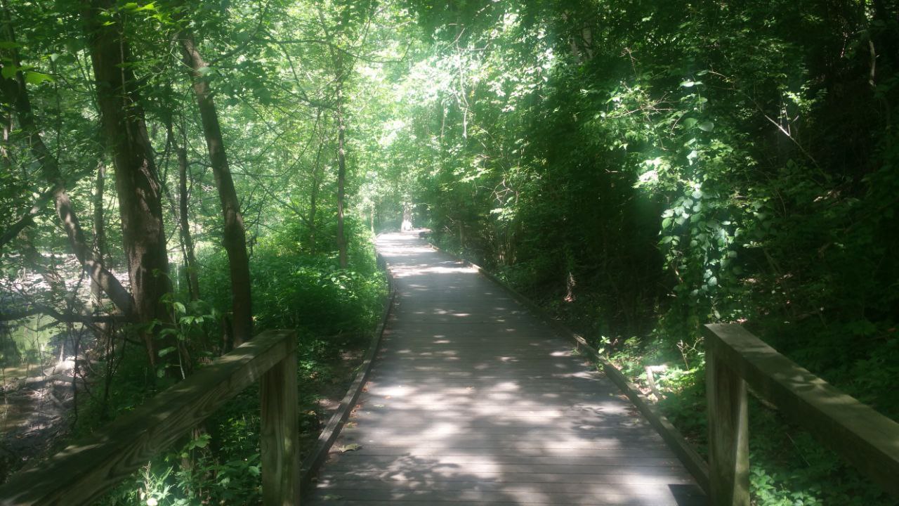 Lessons in Suffering and Death